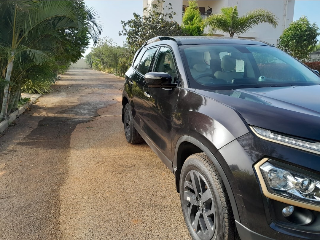 Safari image 7 Safari image 7