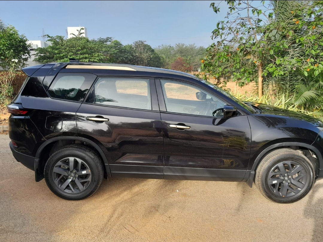 Safari image 6 Safari image 6