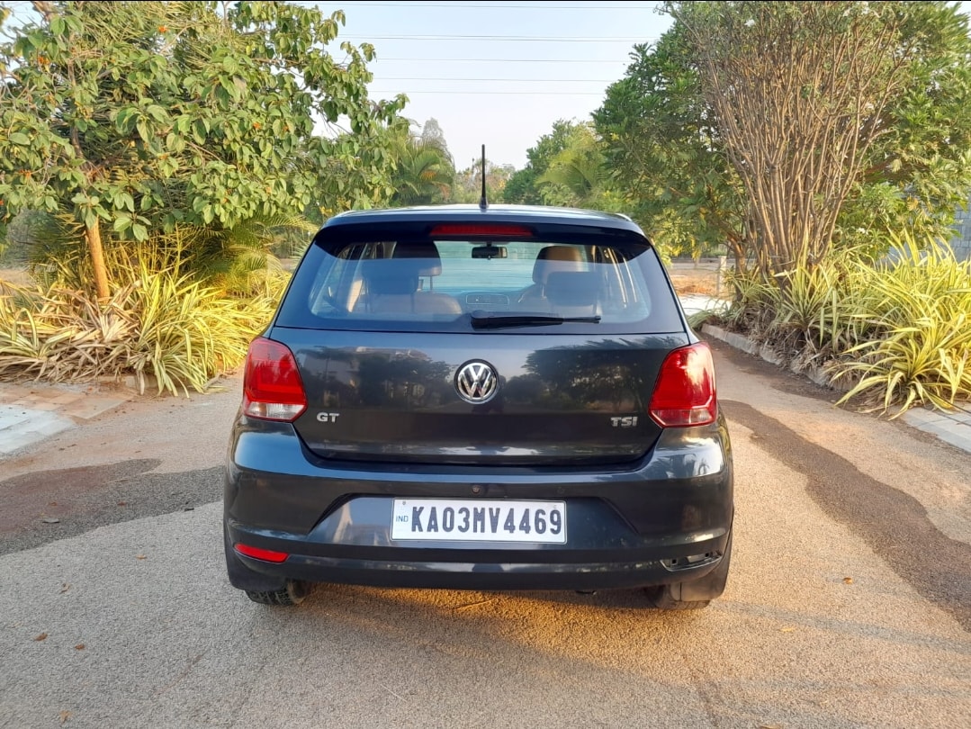 Polo image 4 Polo image 4