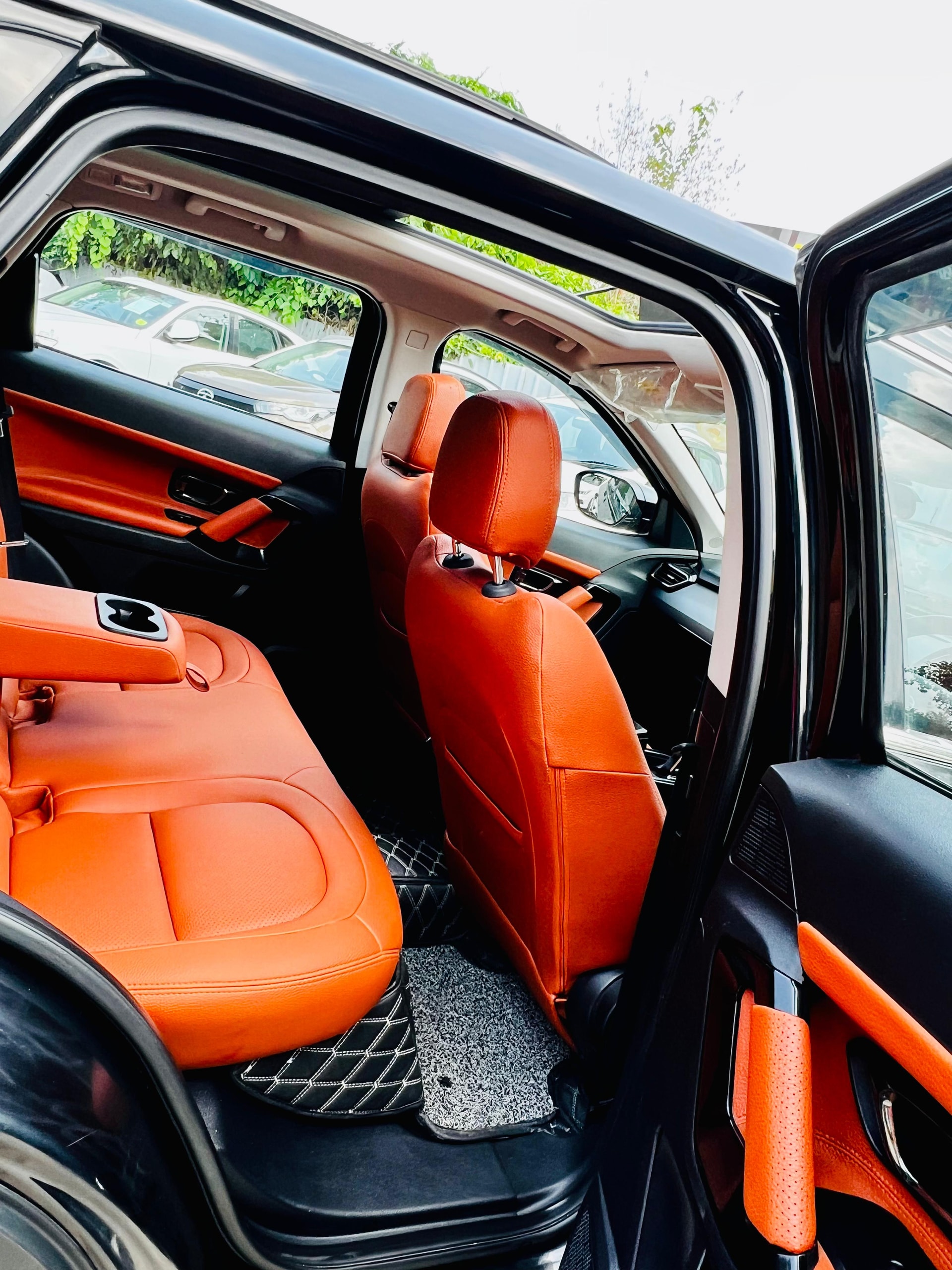 Harrier image 11 Harrier image 11