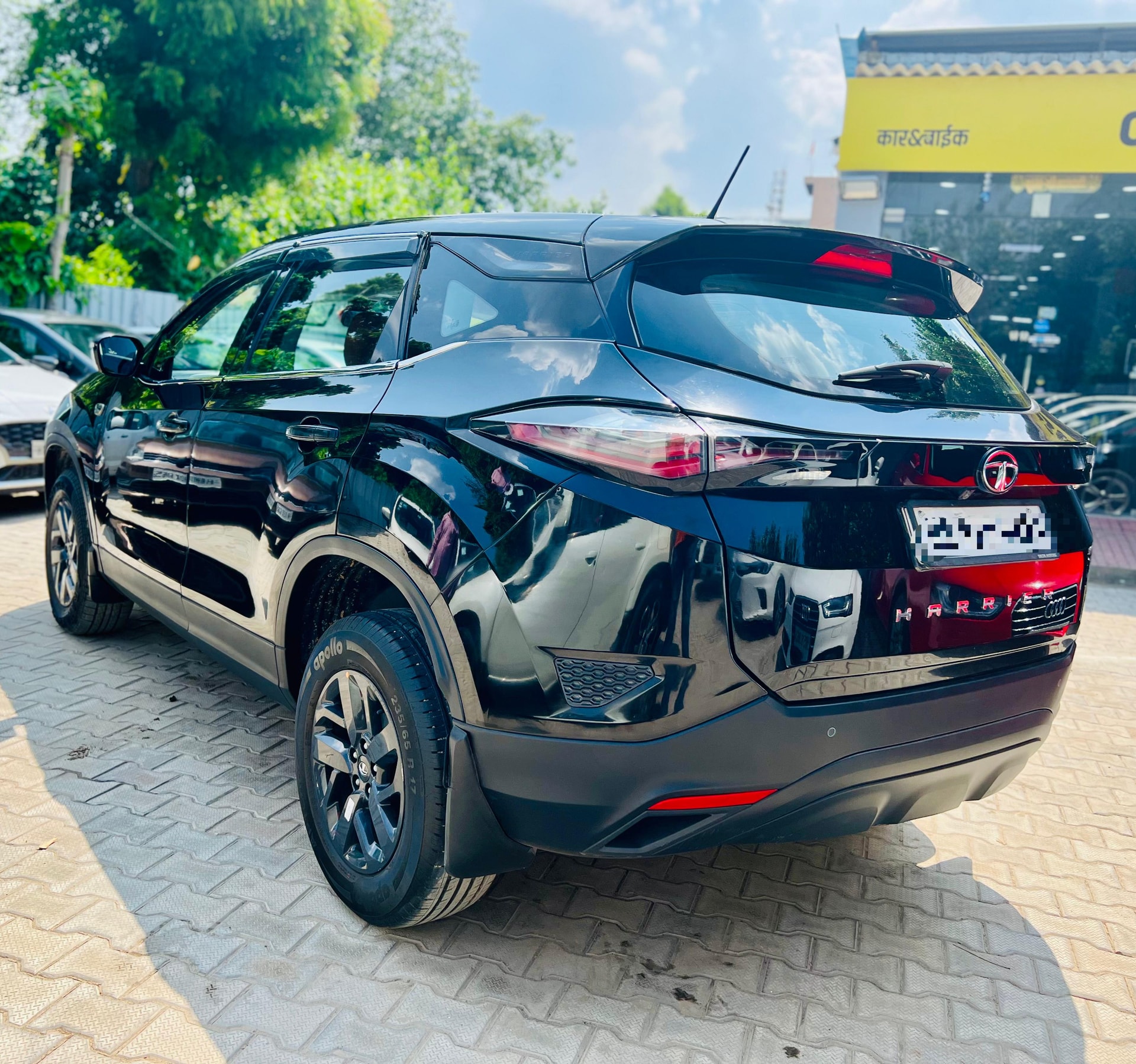 Harrier image 1 Harrier image 1