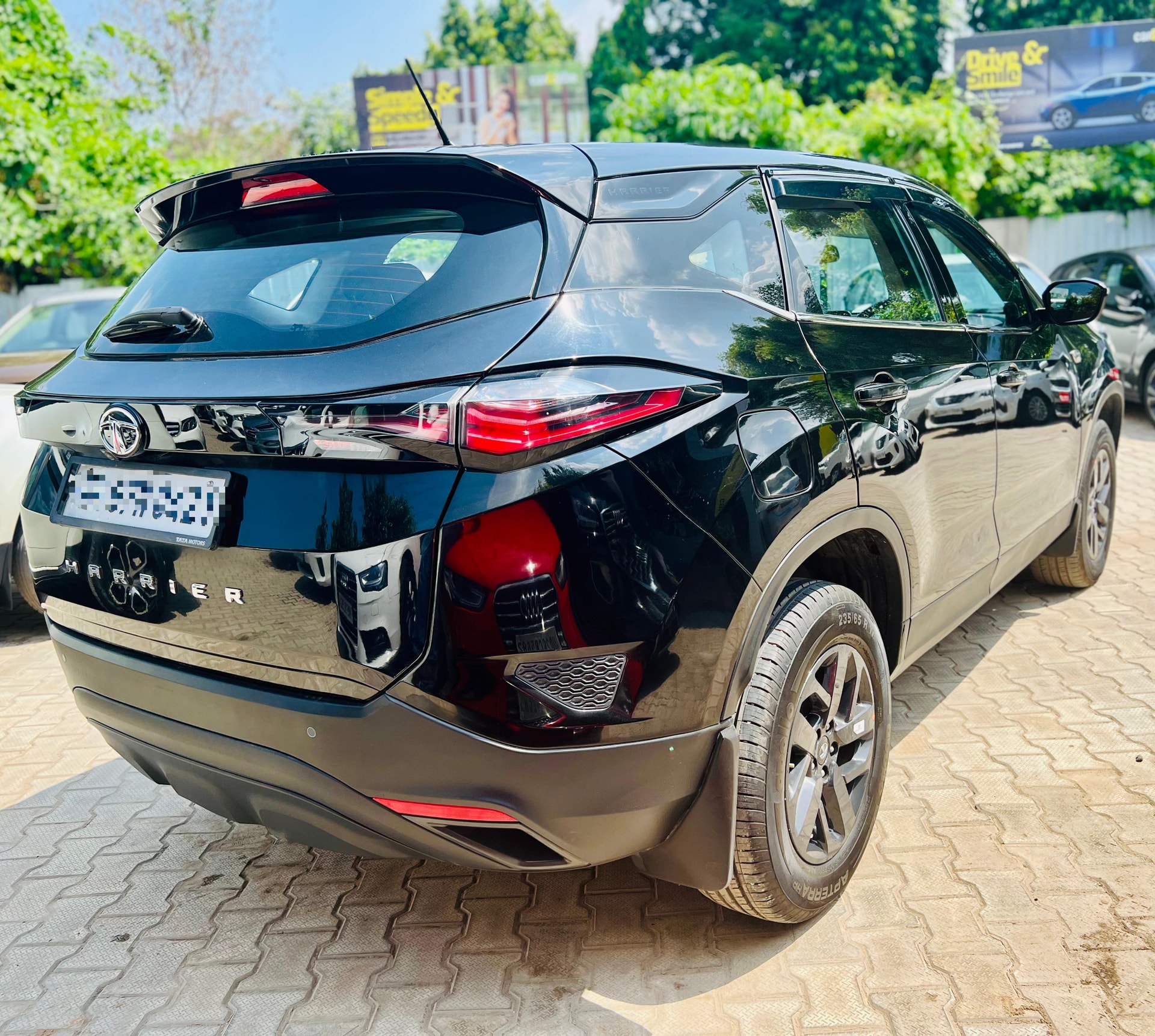 Harrier image 3 Harrier image 3