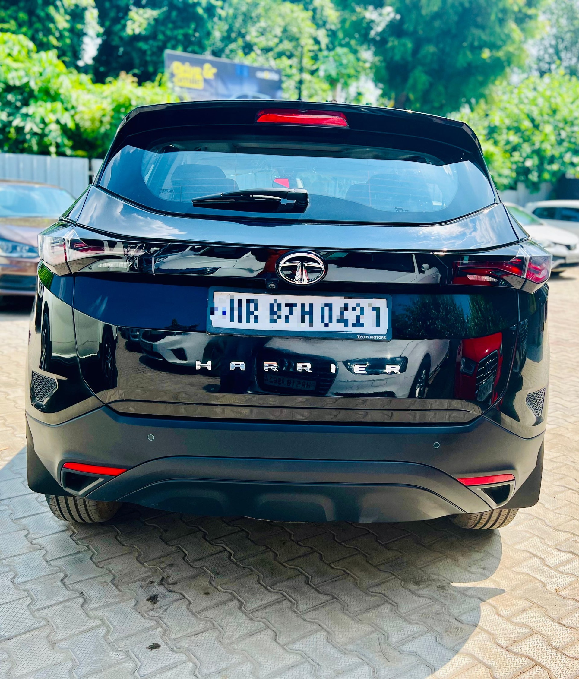 Harrier image 2 Harrier image 2