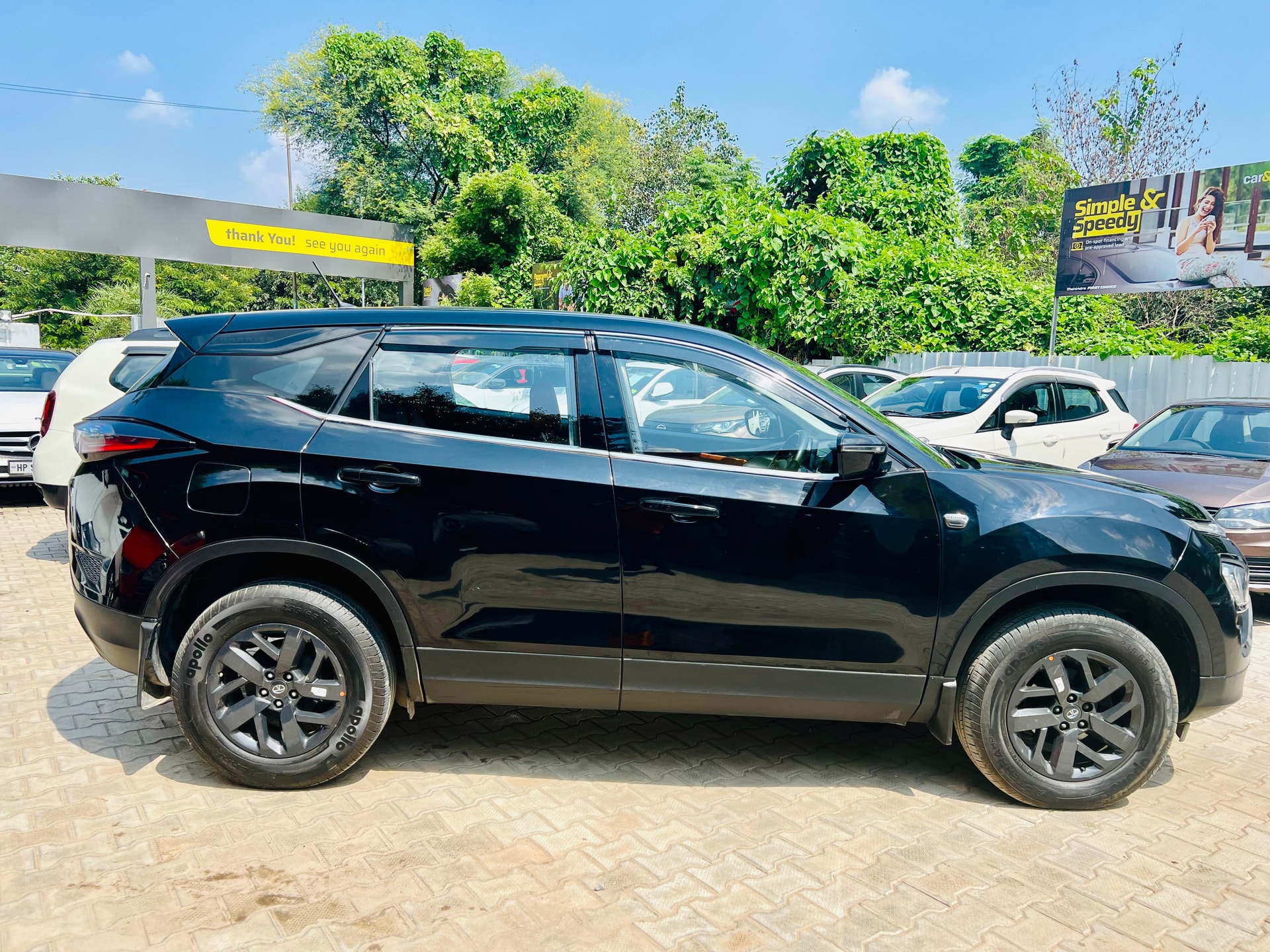 Harrier image 4 Harrier image 4