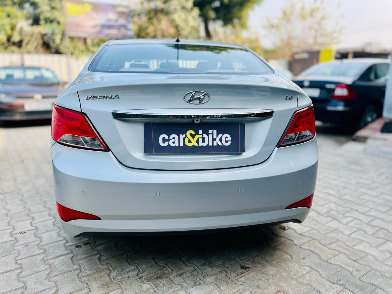 Verna image 1 Verna image 1