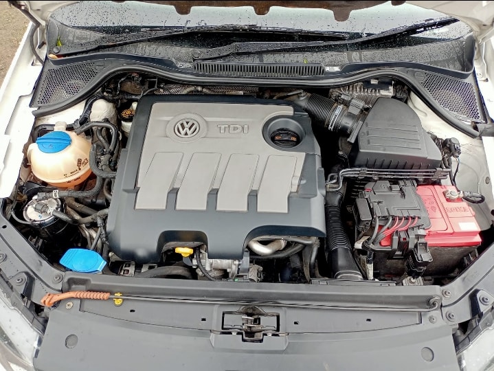 Polo image 11 Polo image 11