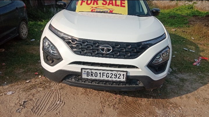 Harrier image 7 Harrier image 7