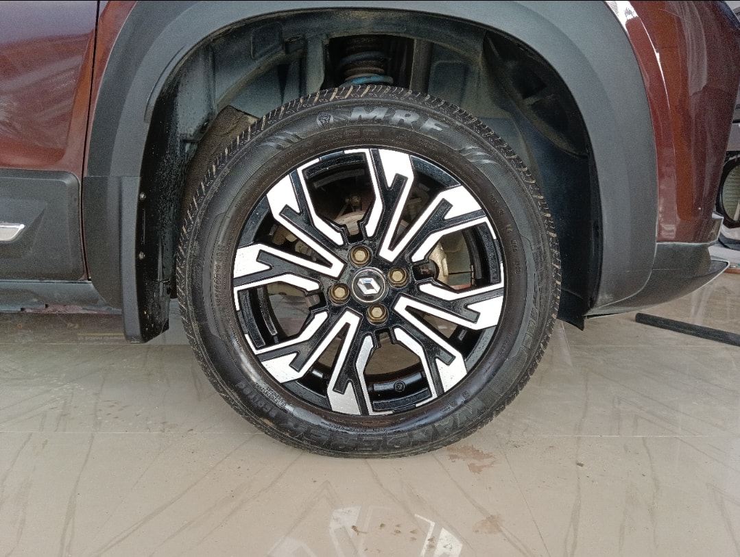 Kiger image 9 Kiger image 9