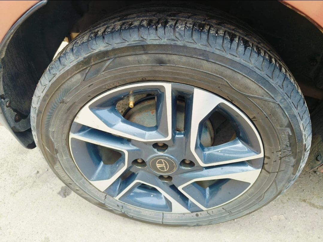 Tigor image 9 Tigor image 9