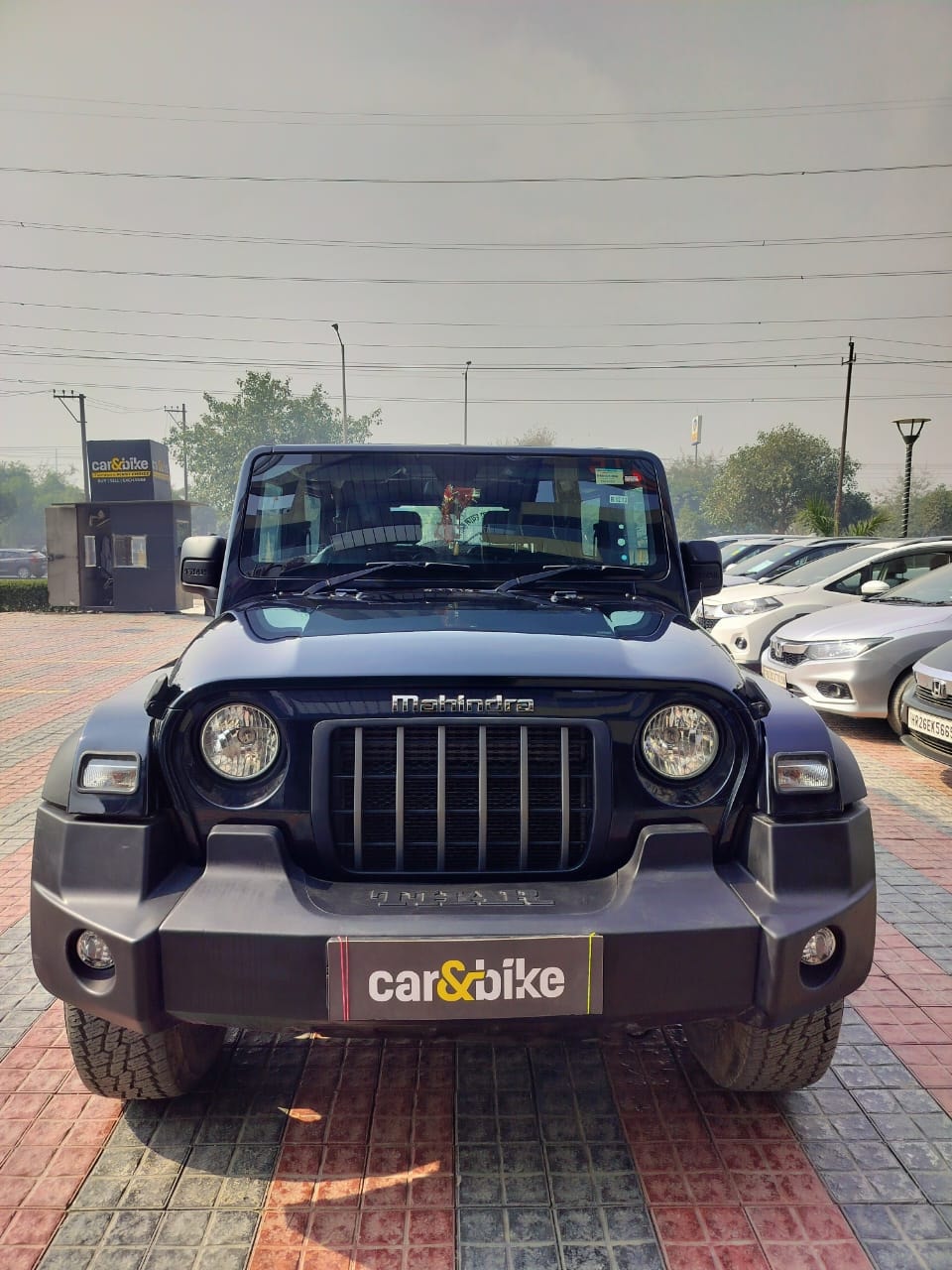 Thar image 8 Thar image 8