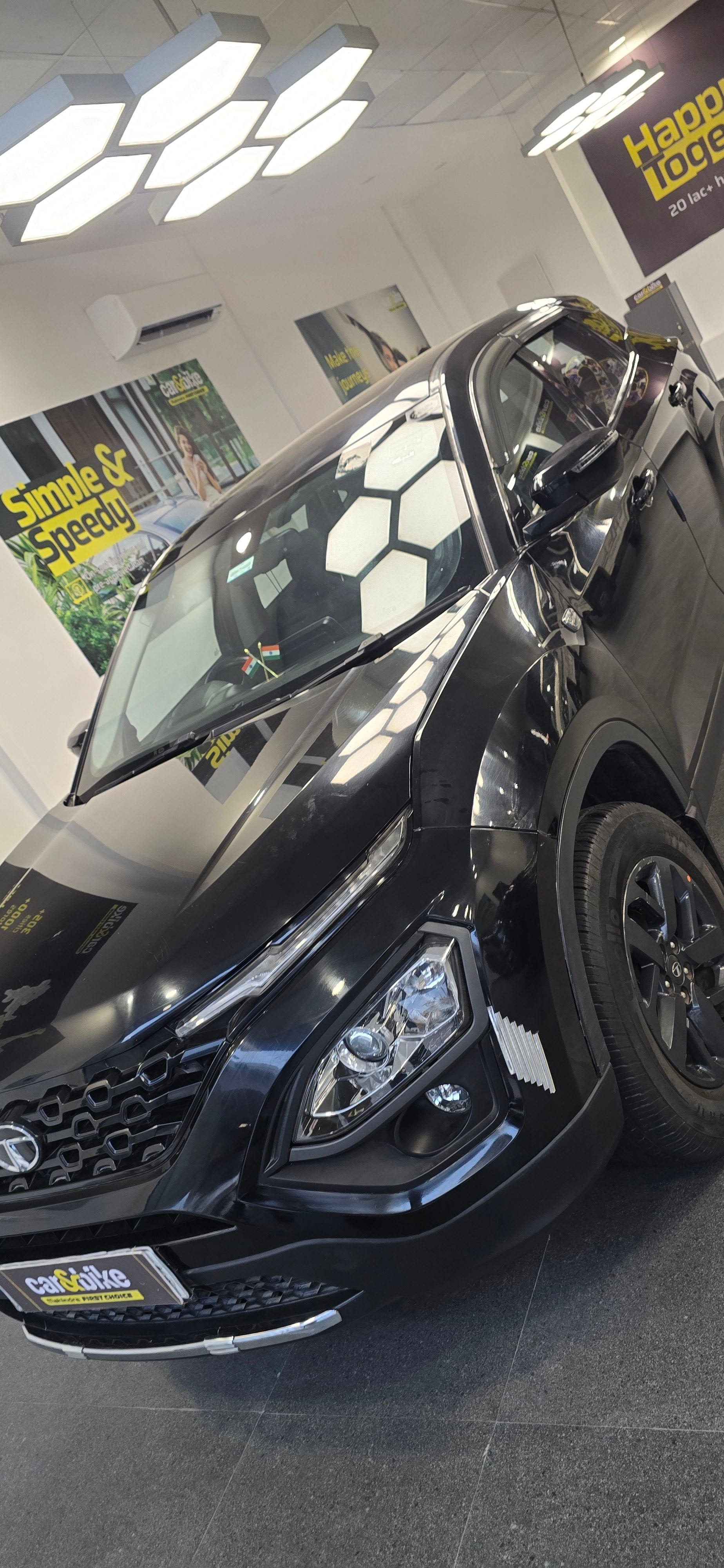 Harrier image 7 Harrier image 7