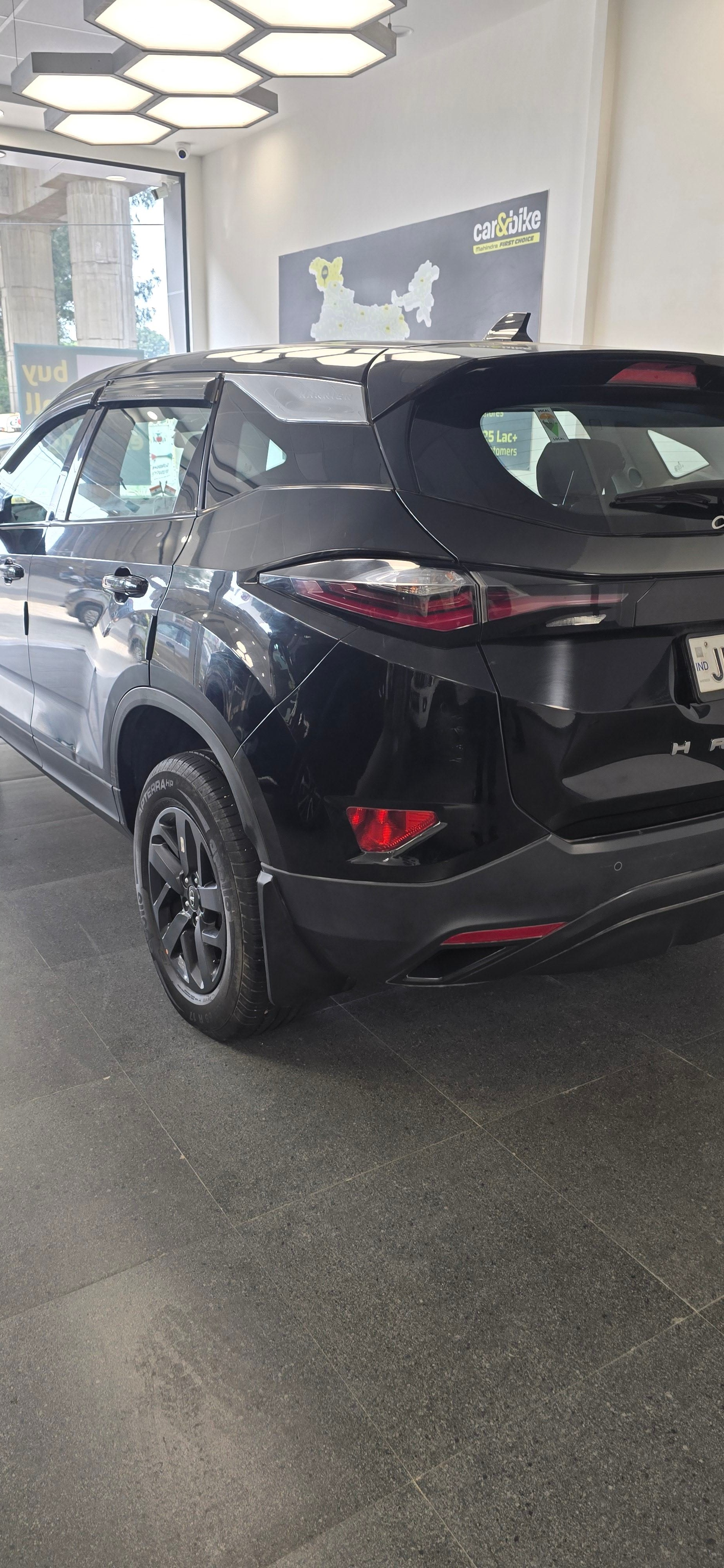 Harrier image 3 Harrier image 3