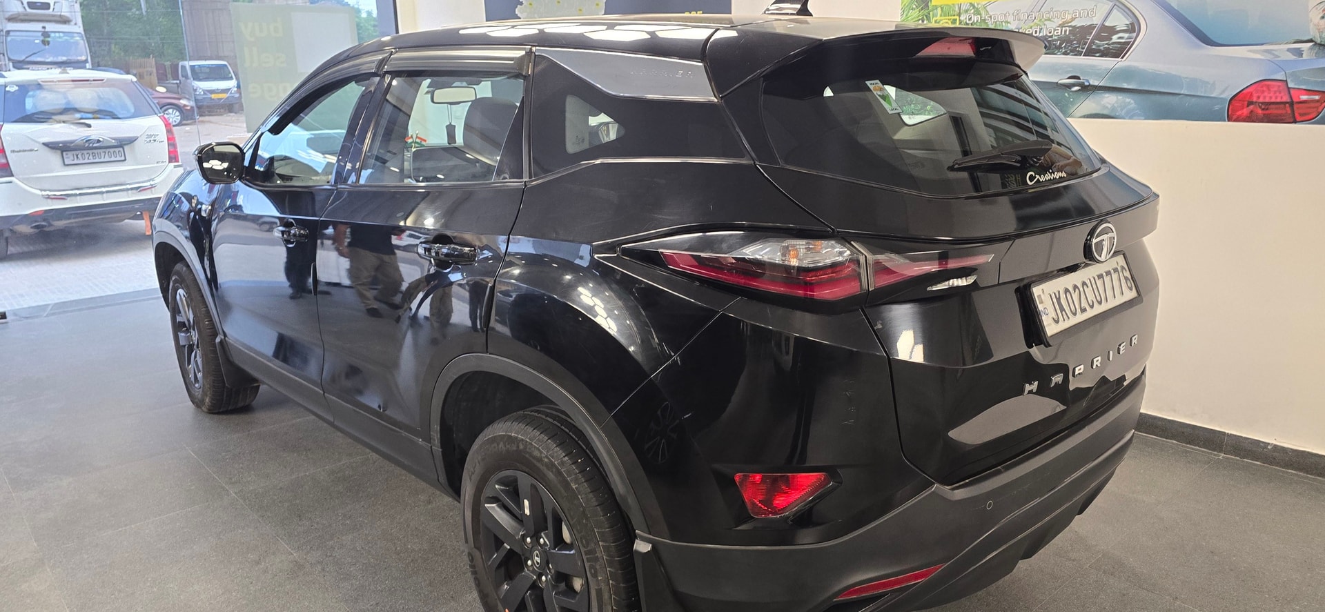 Harrier image 5 Harrier image 5