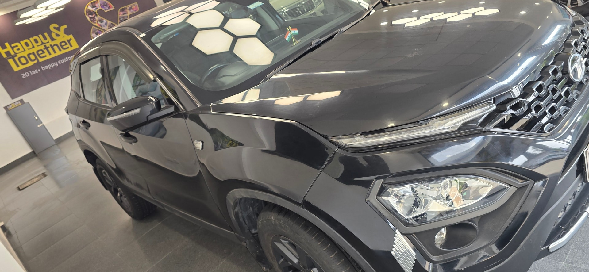 Harrier image 6 Harrier image 6