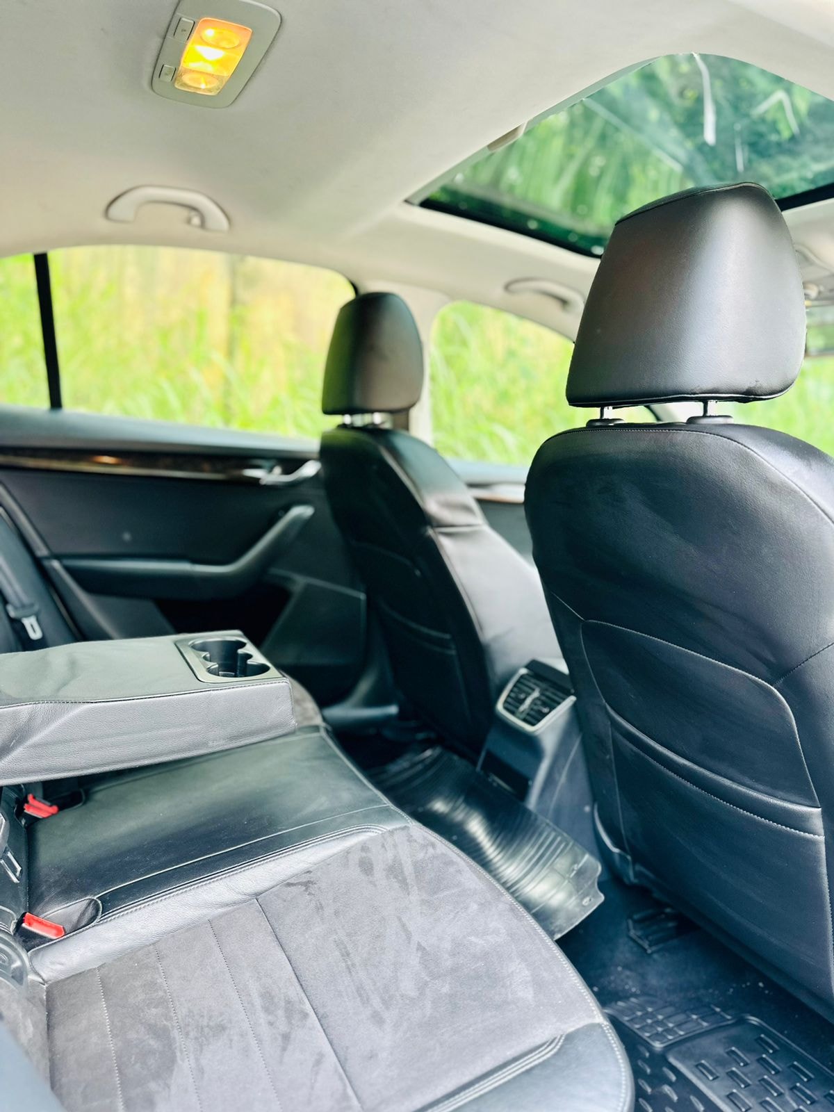 Octavia image 15 Octavia image 15