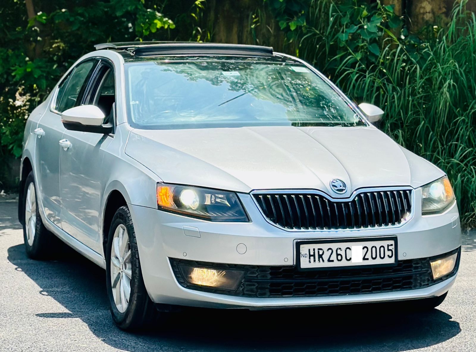 Octavia image 1 Octavia image 1