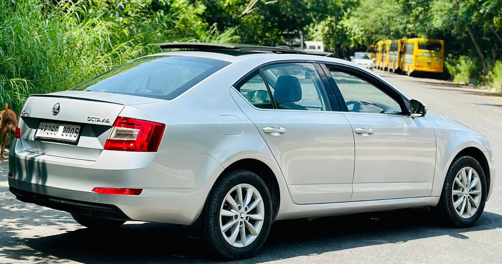 Octavia image 5 Octavia image 5