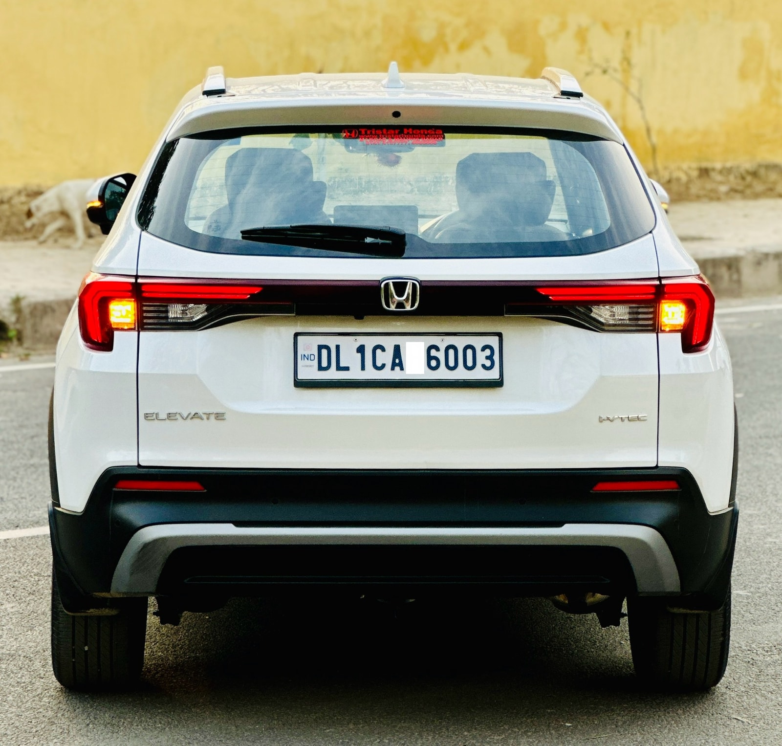 Elevate image 4 Elevate image 4