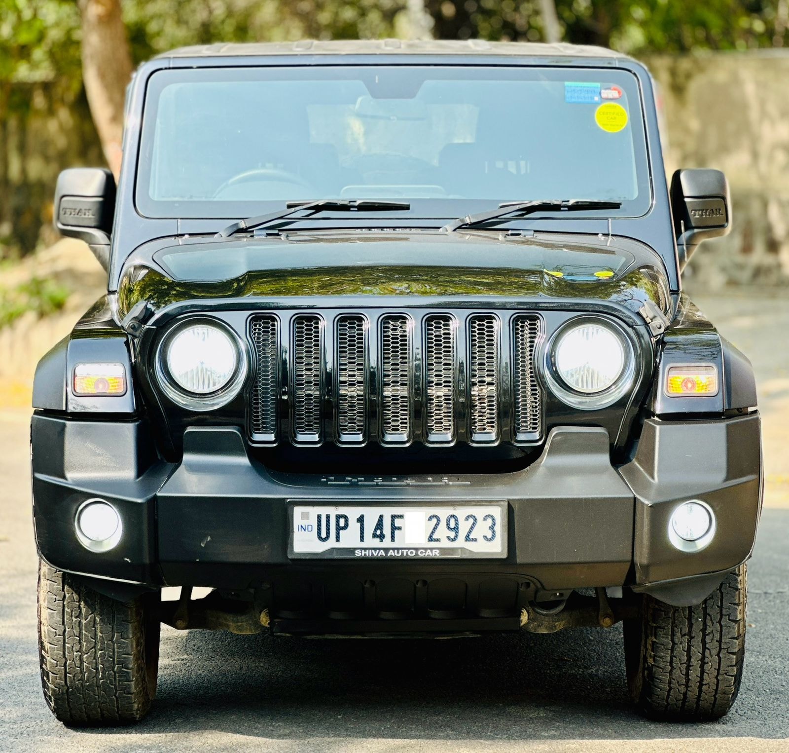 Thar image 8 Thar image 8