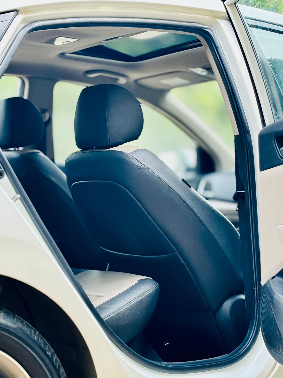 Verna image 13 Verna image 13