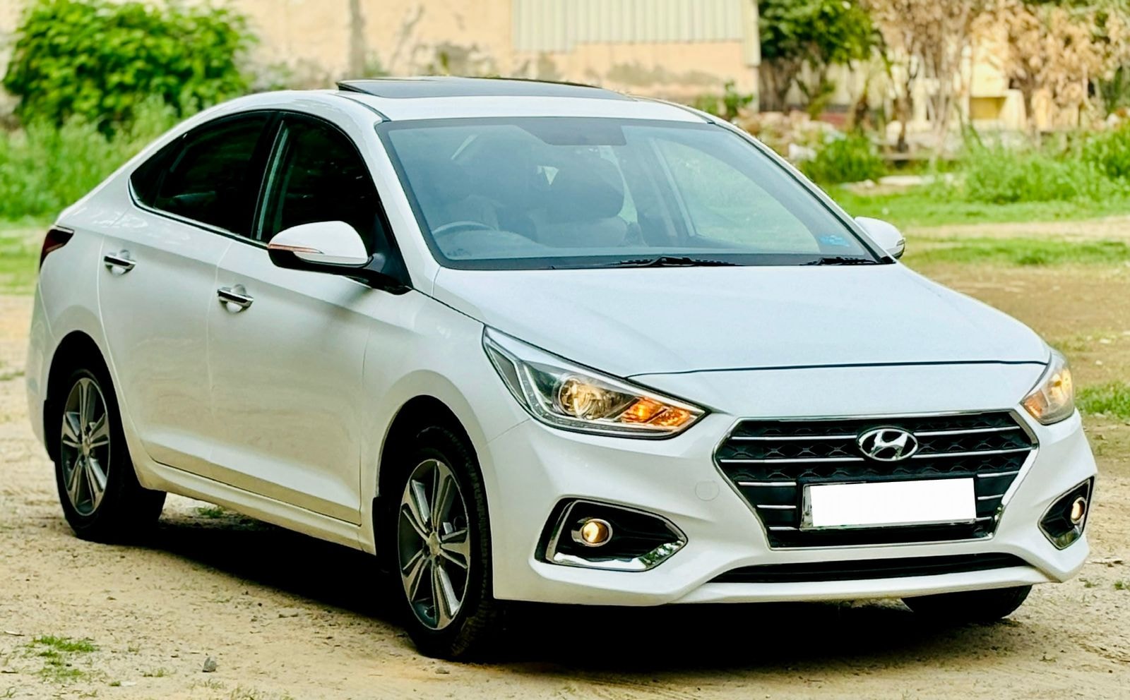 Verna image 7 Verna image 7