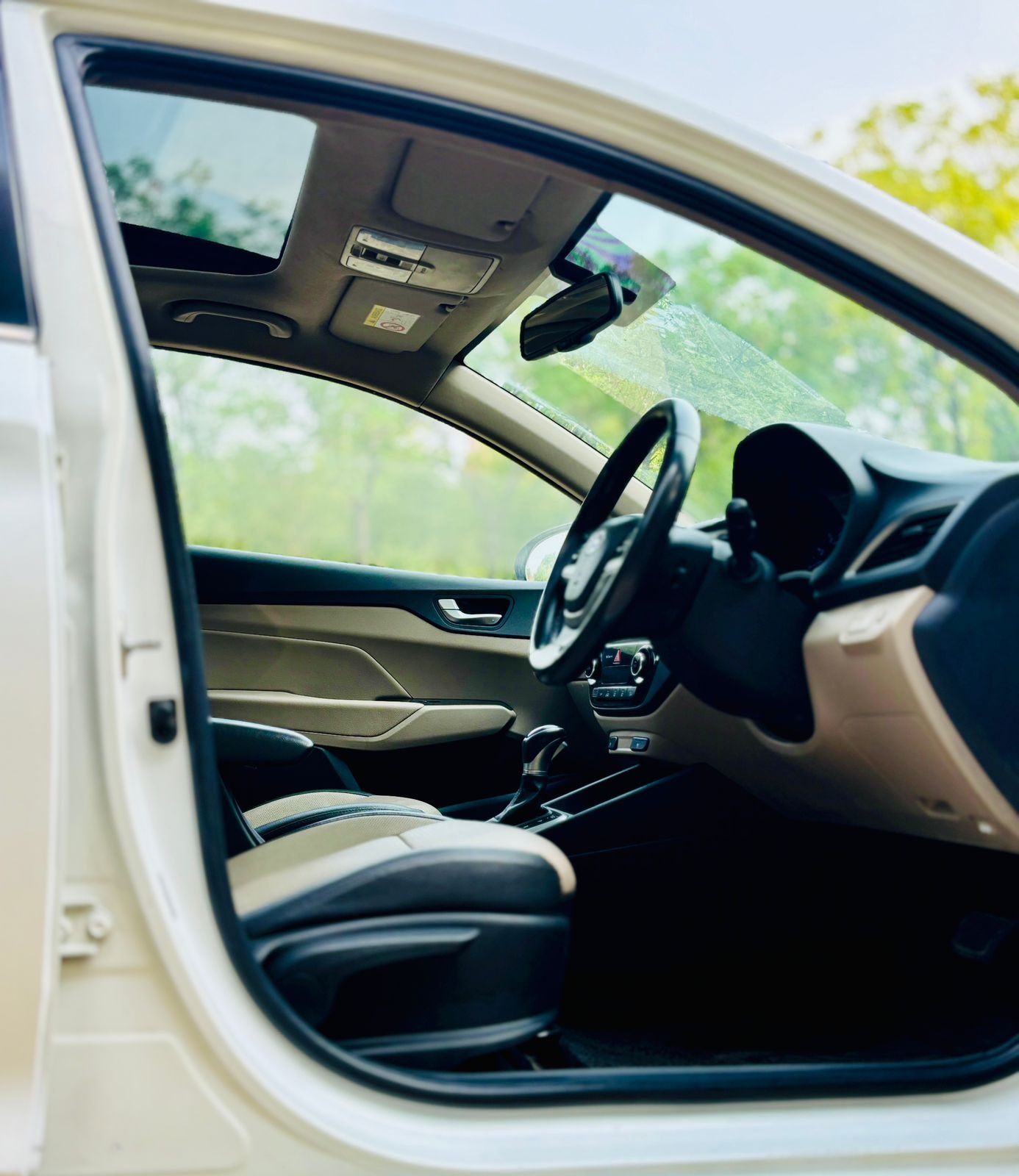 Verna image 12 Verna image 12