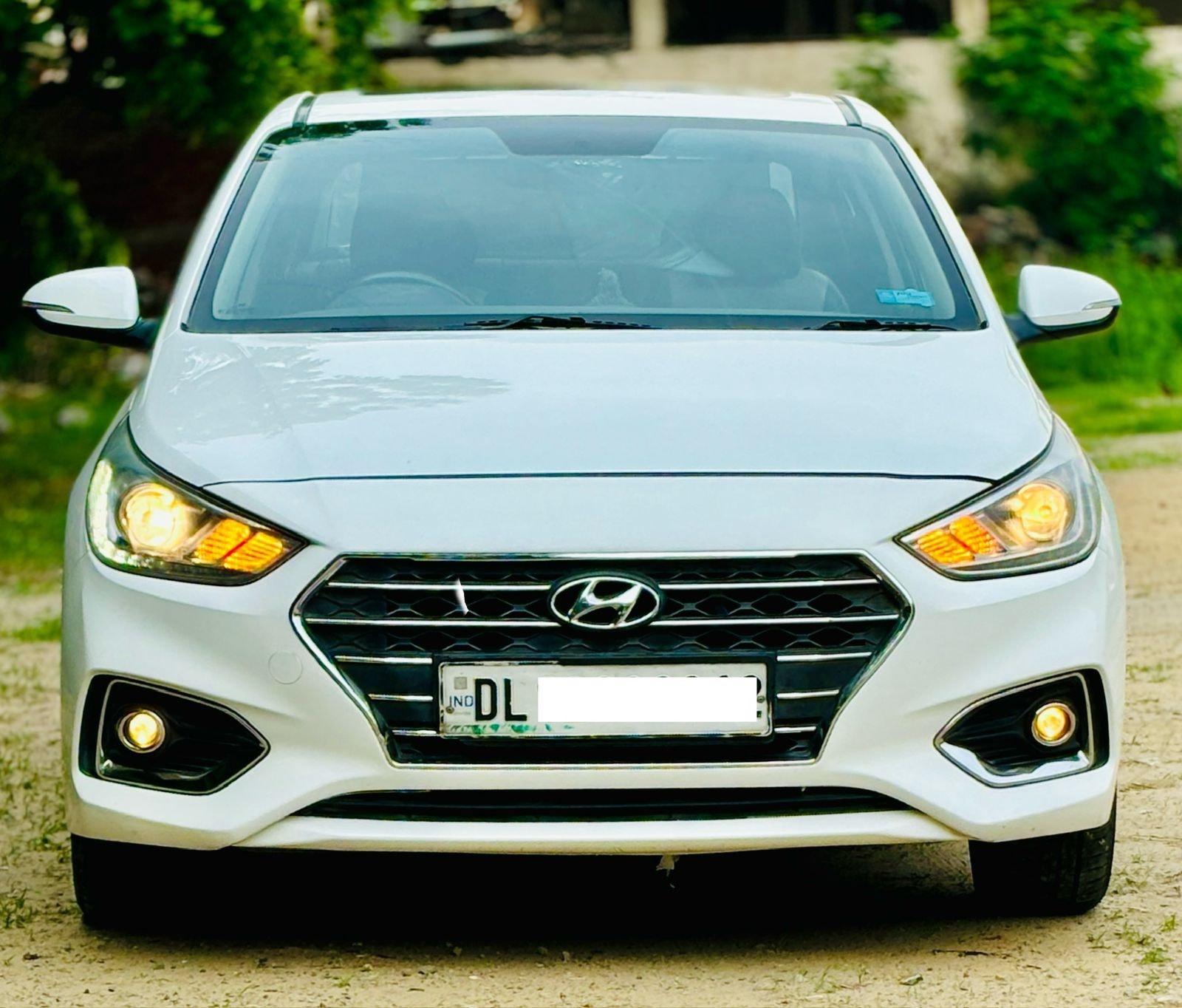 Verna image 8 Verna image 8