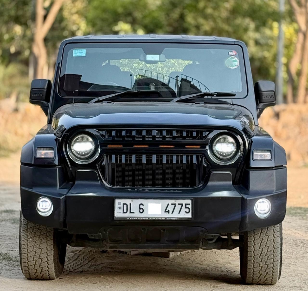 Thar image 8 Thar image 8