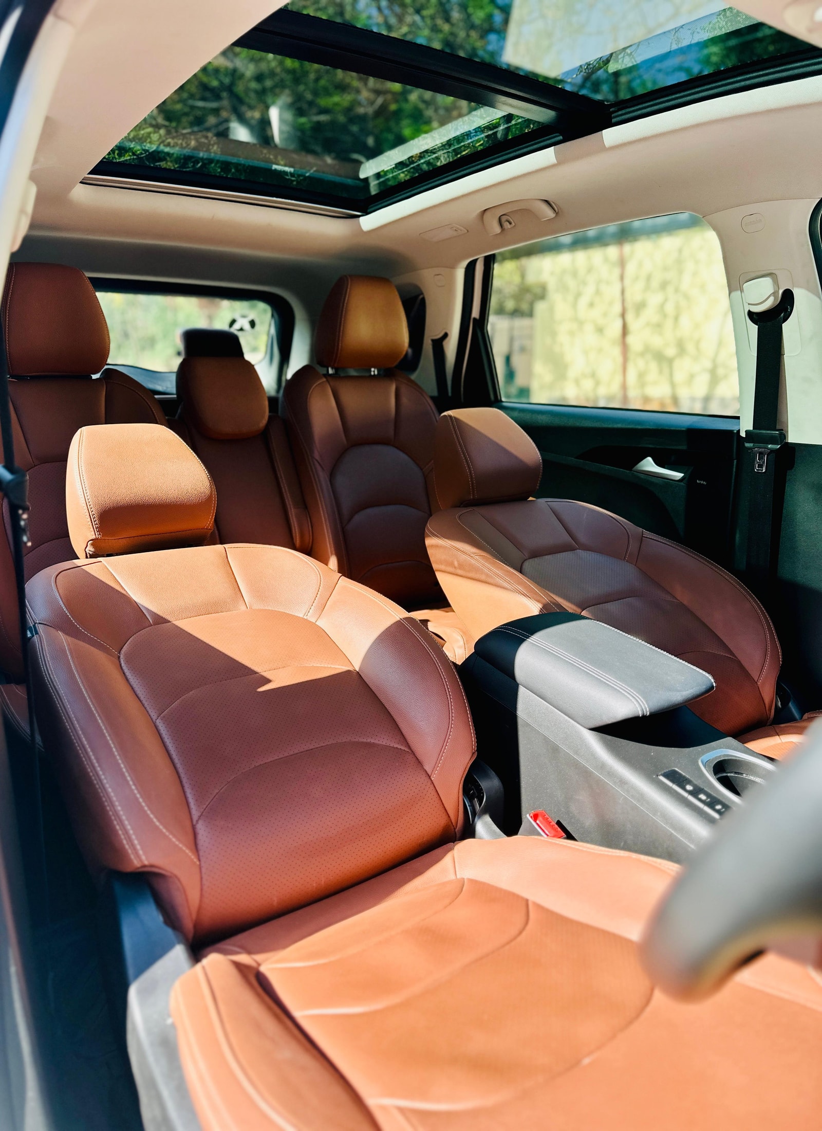 Hector image 13 Hector image 13