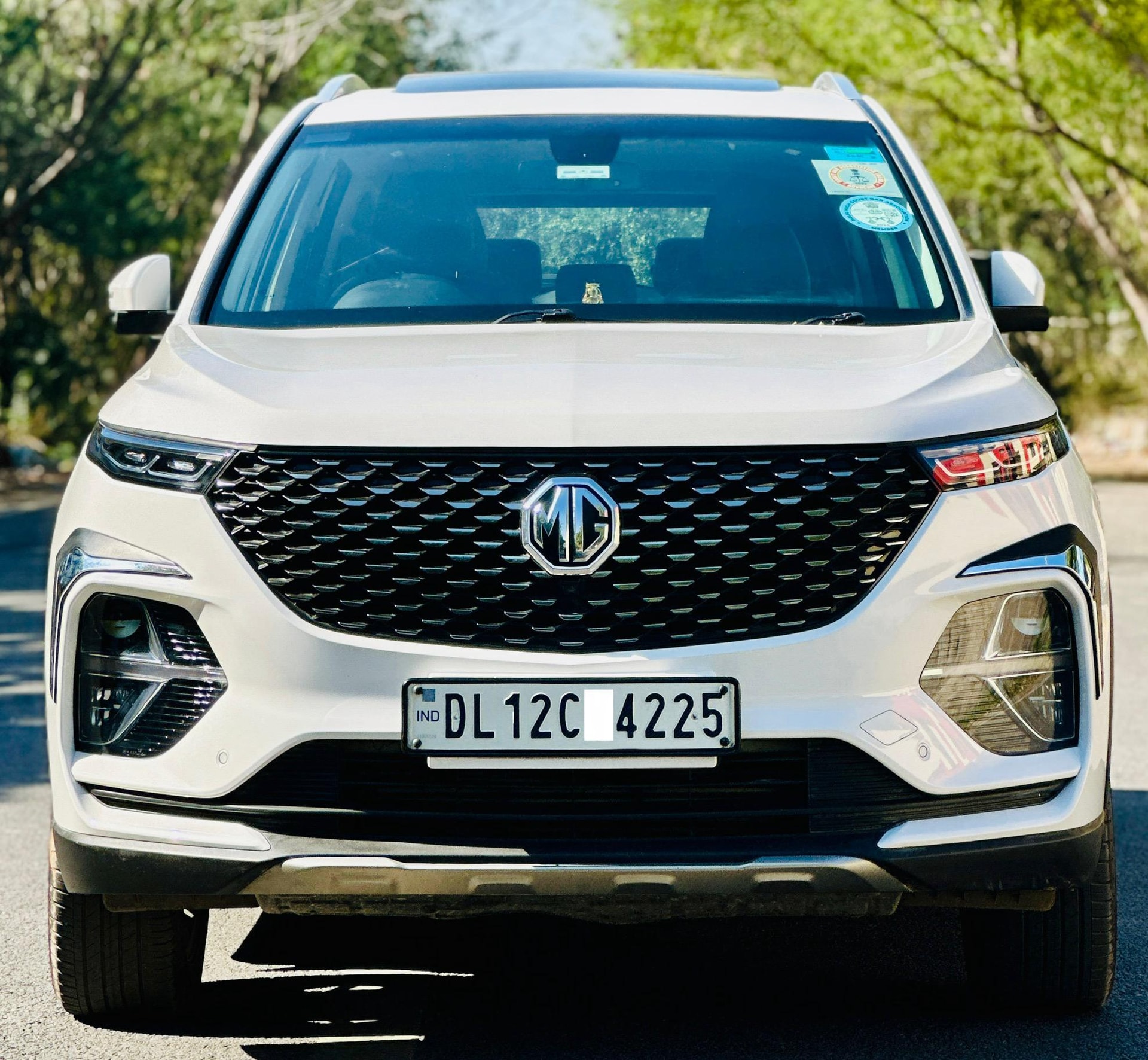 Hector image 8 Hector image 8