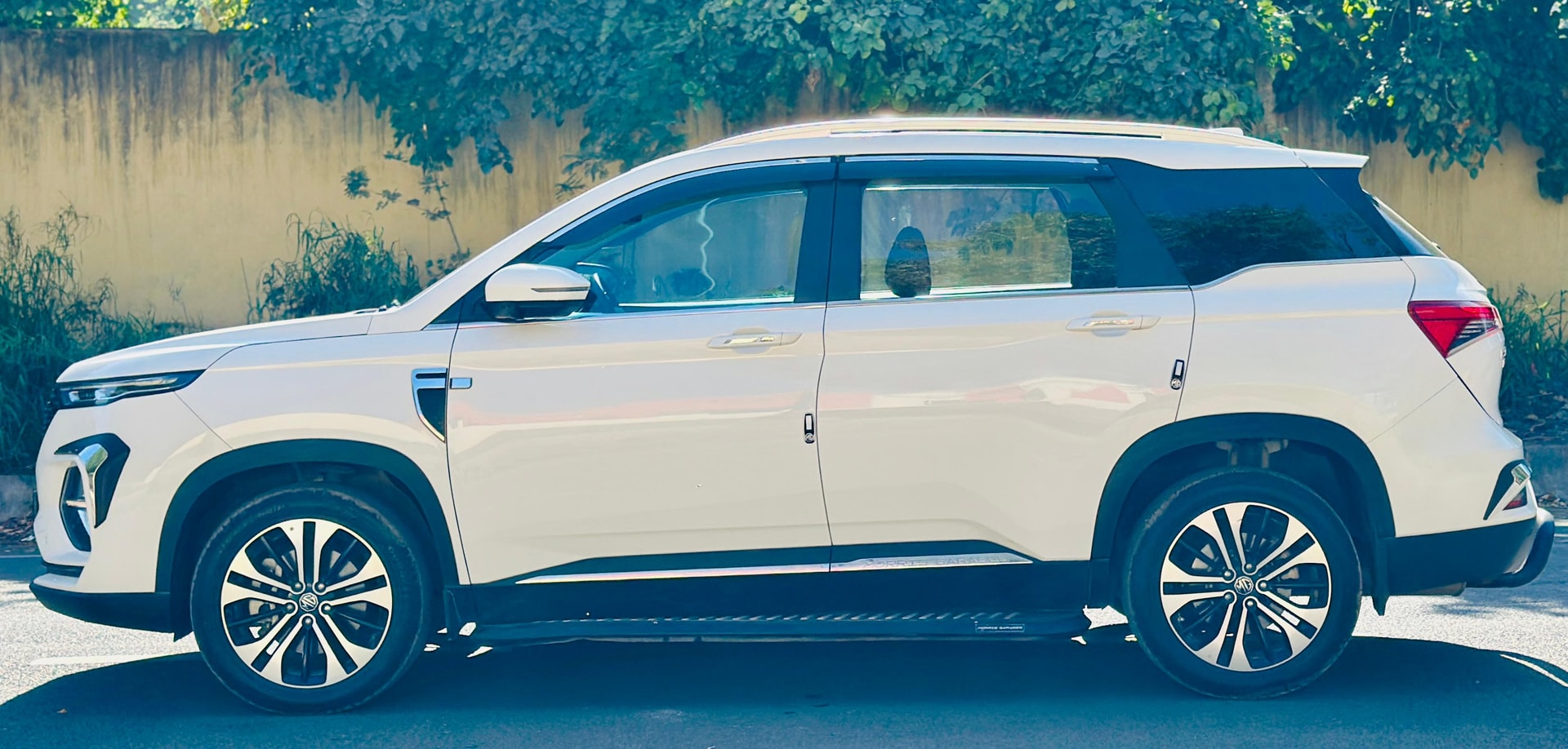 Hector image 2 Hector image 2