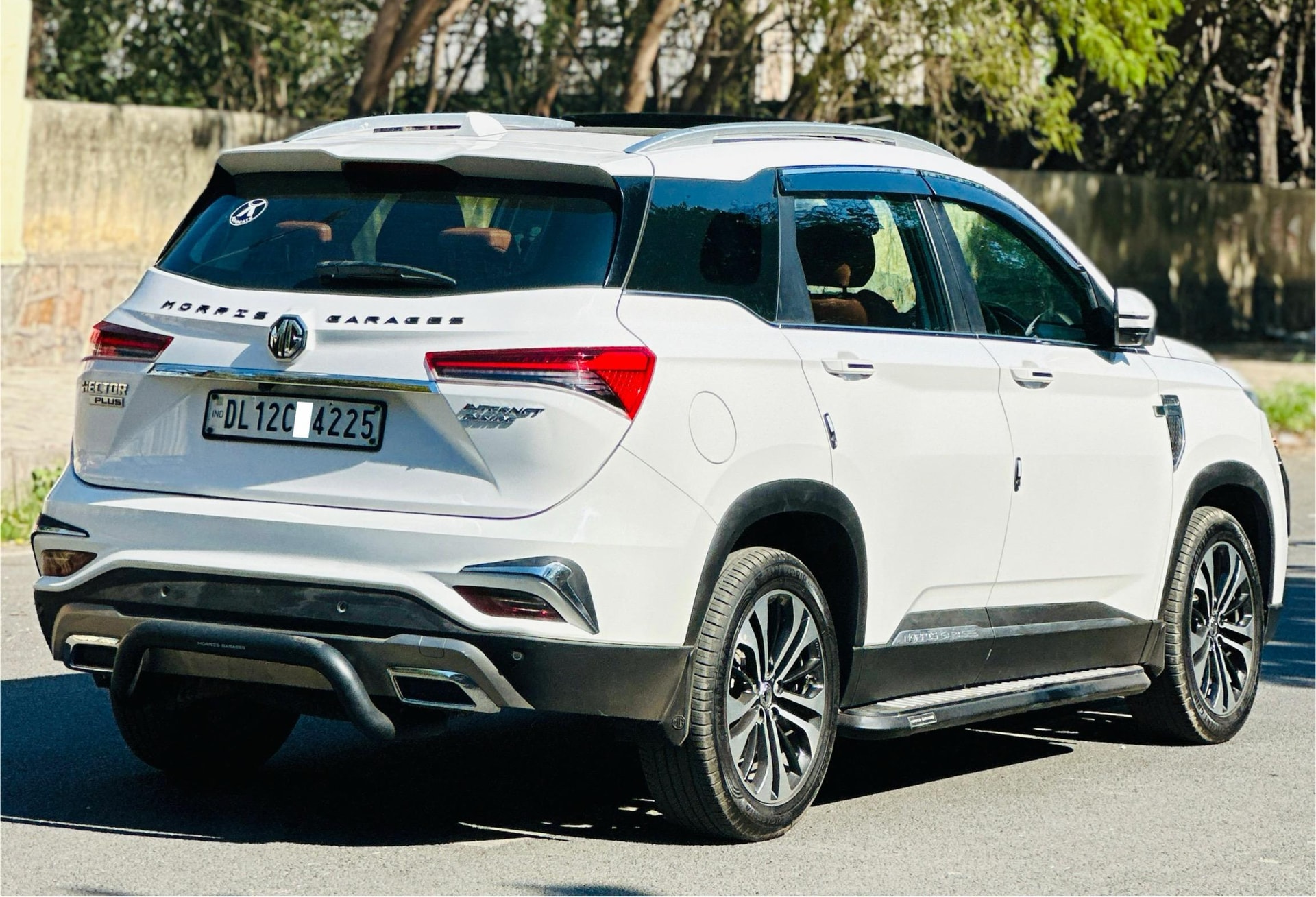 Hector image 5 Hector image 5