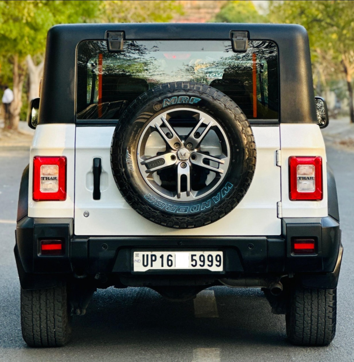 Thar image 9 Thar image 9