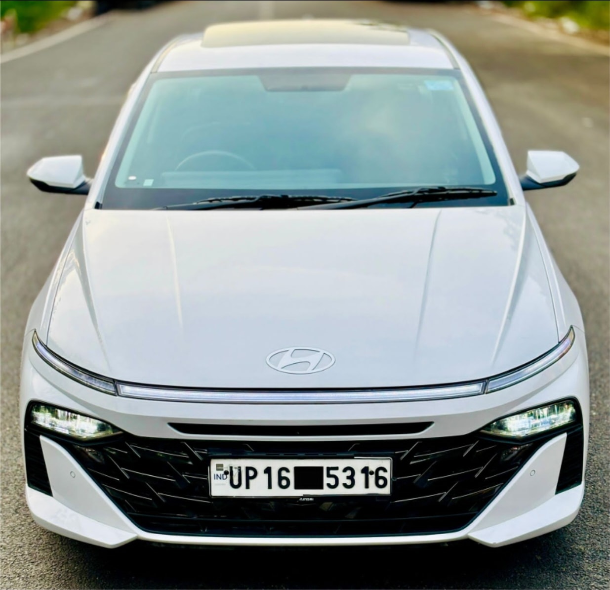 Verna image 8 Verna image 8