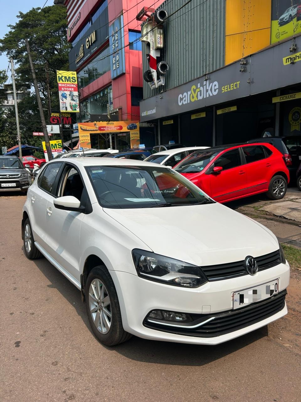 Polo image 5 Polo image 5