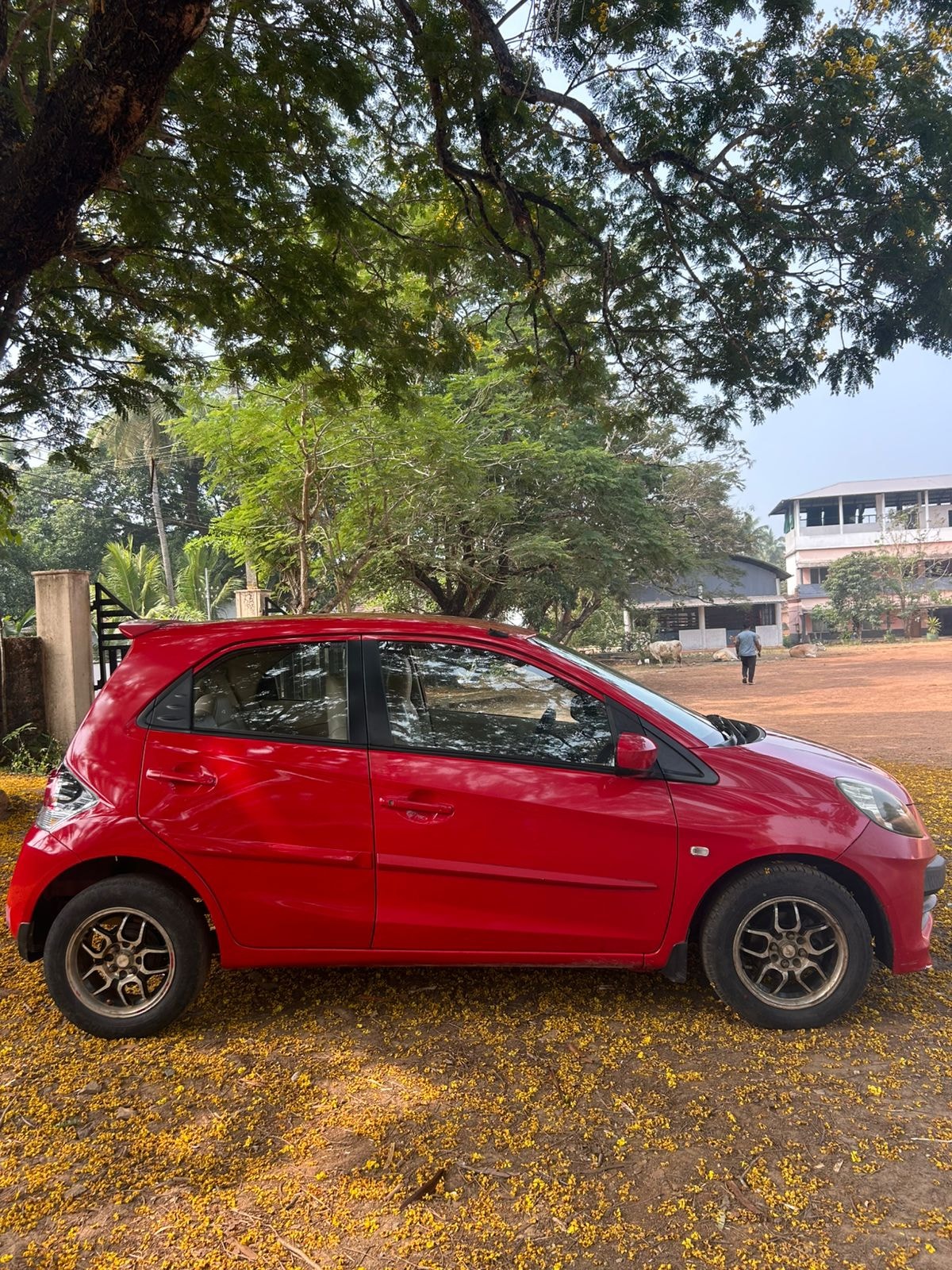 Brio image 6 Brio image 6