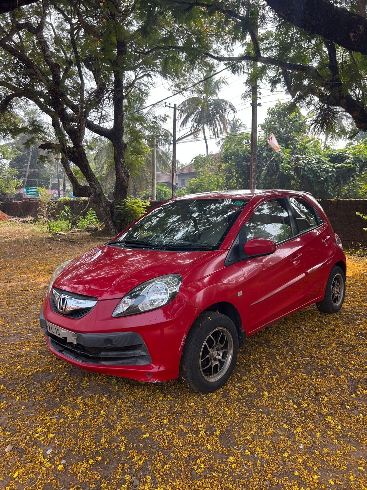 Brio image 9 Brio image 9