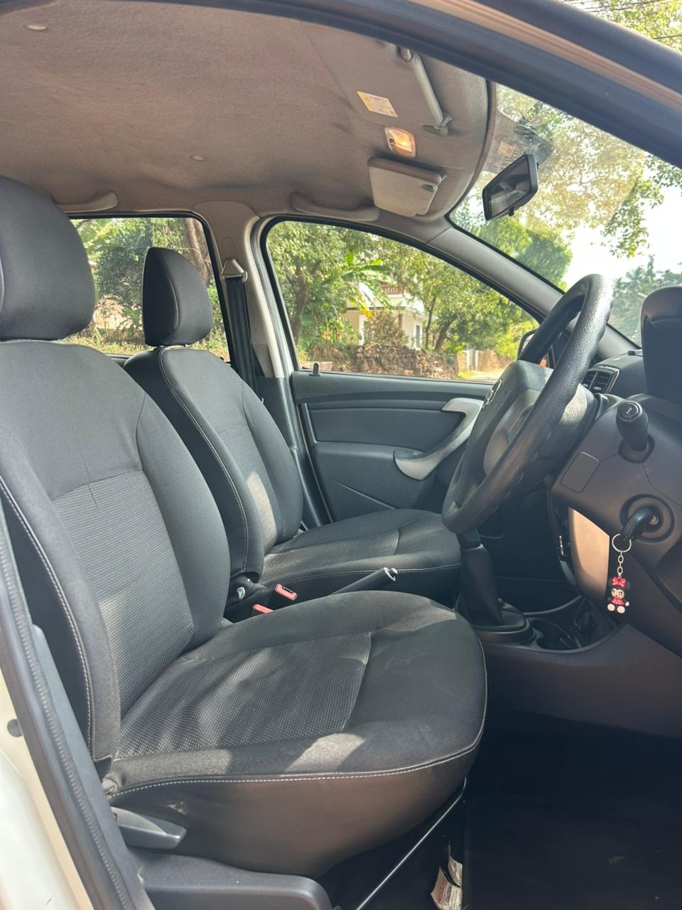 Terrano image 14 Terrano image 14