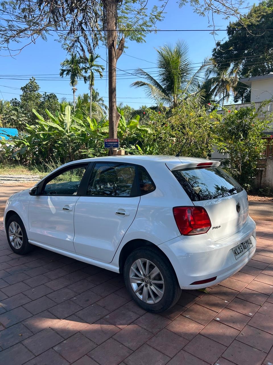 Polo image 4 Polo image 4