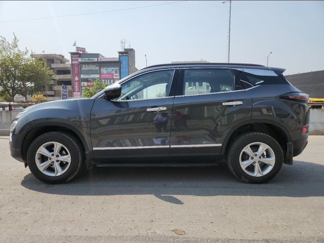 Harrier image 2 Harrier image 2