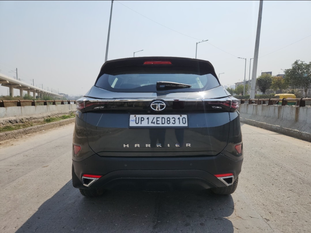 Harrier image 3 Harrier image 3