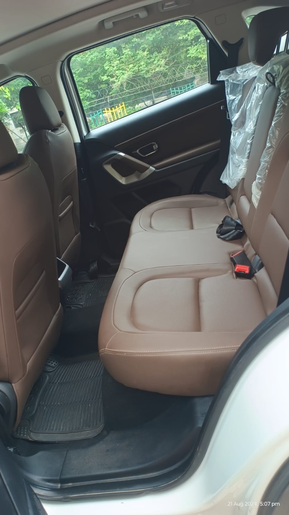 Harrier image 12 Harrier image 12