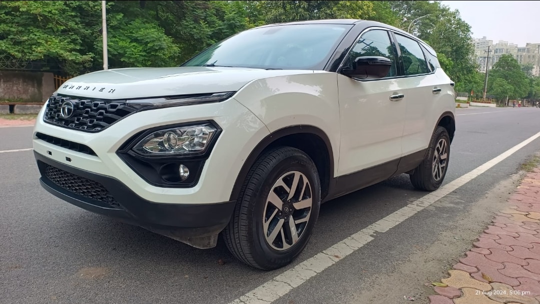 Harrier image 1 Harrier image 1