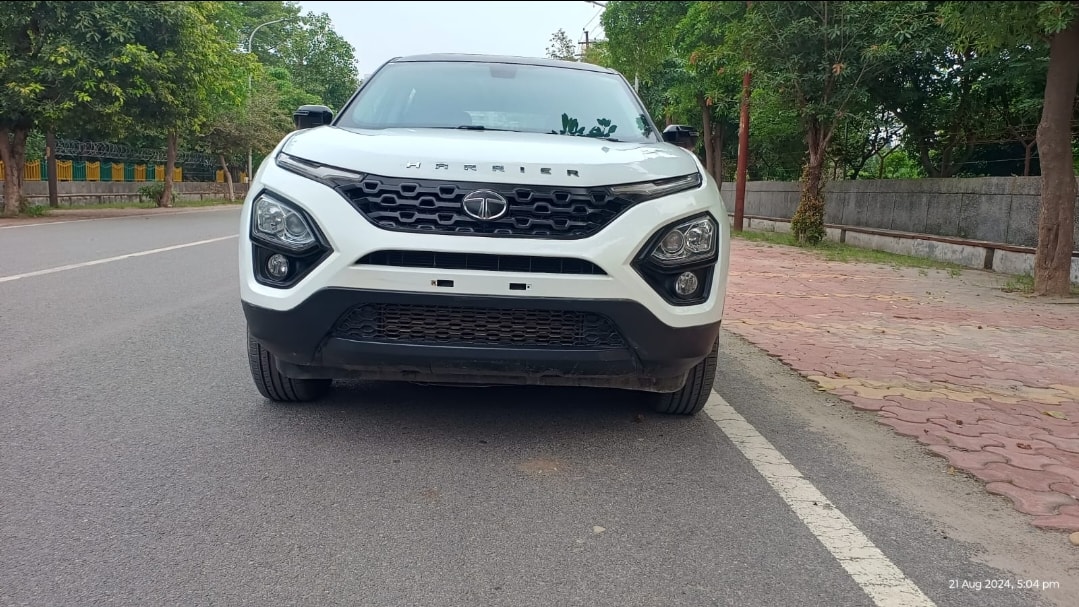 Harrier image 8 Harrier image 8