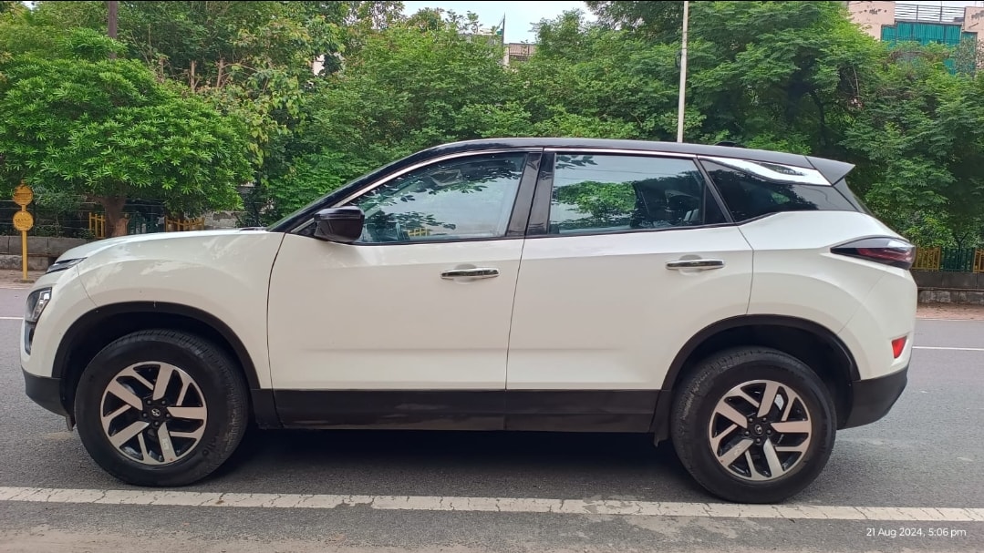 Harrier image 2 Harrier image 2