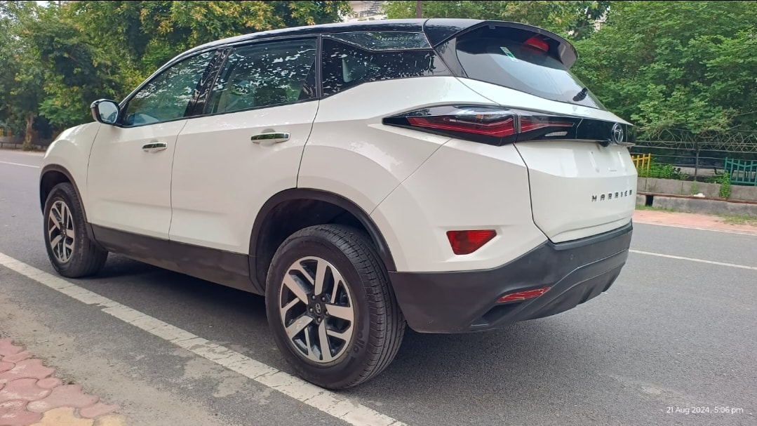 Harrier image 5 Harrier image 5