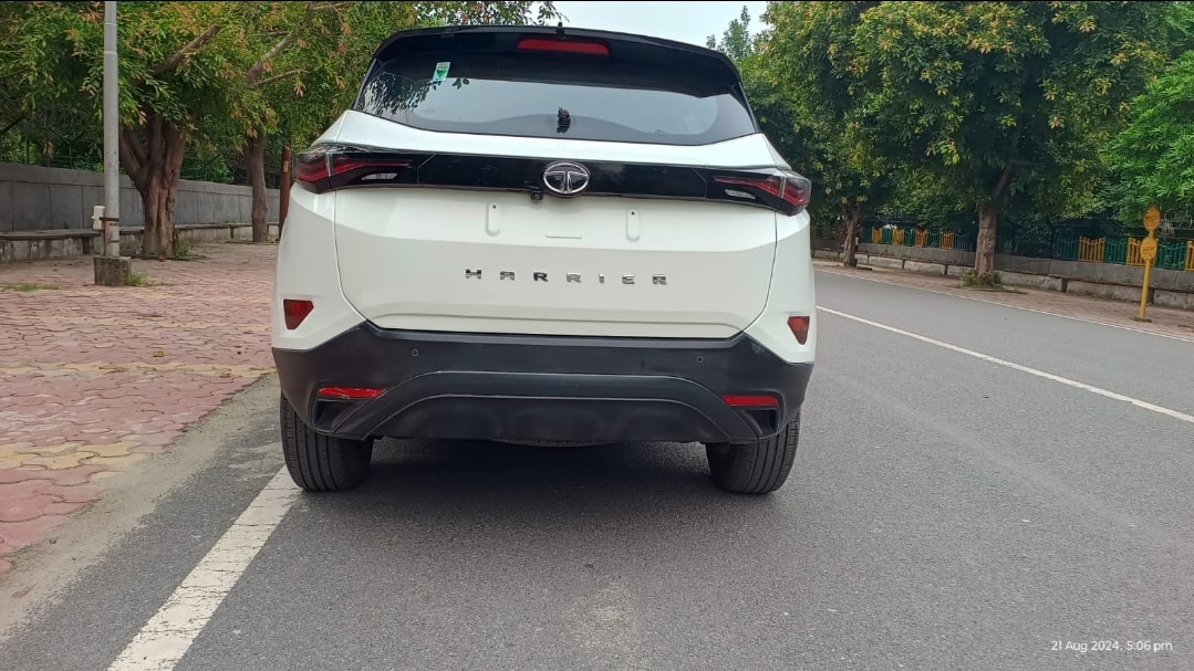 Harrier image 4 Harrier image 4