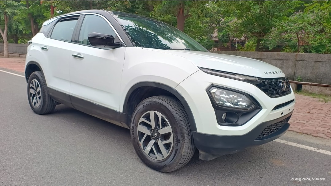 Harrier image 6 Harrier image 6