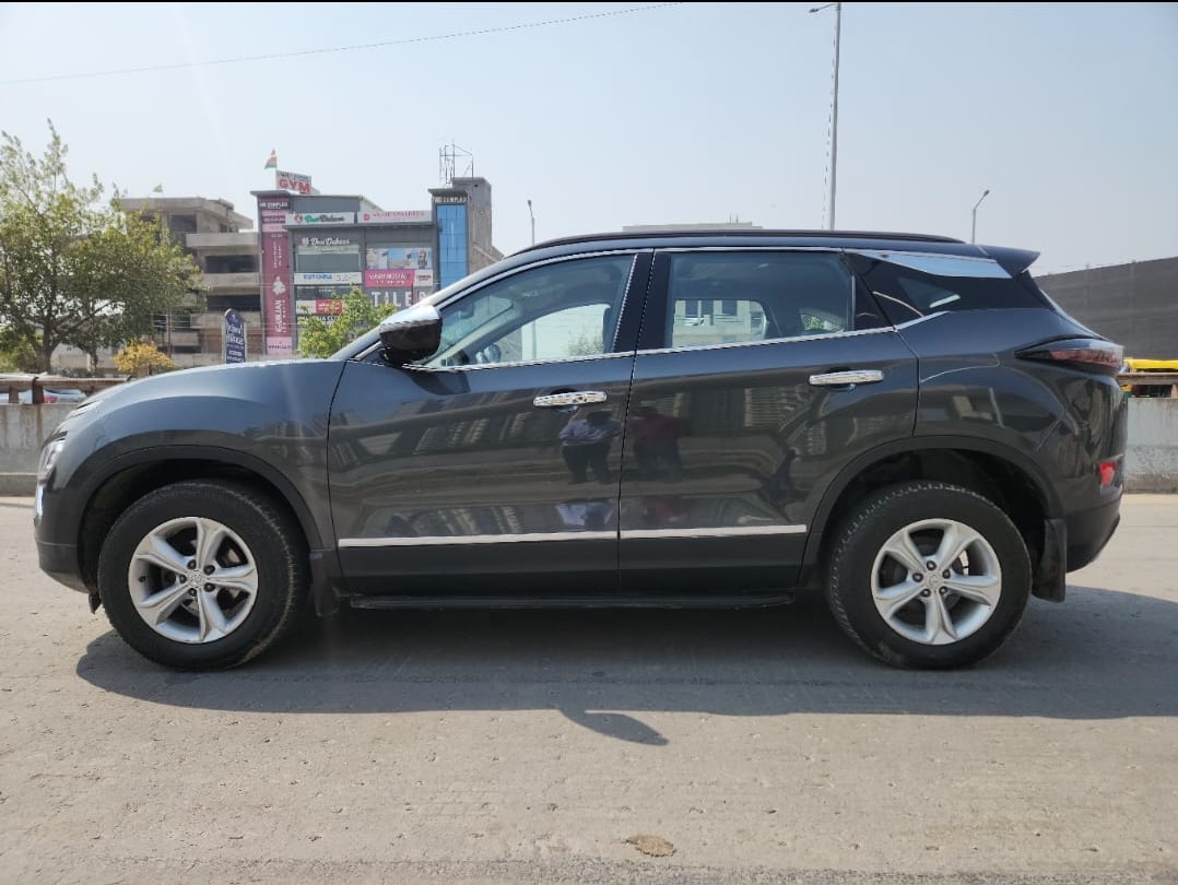 Harrier image 3 Harrier image 3