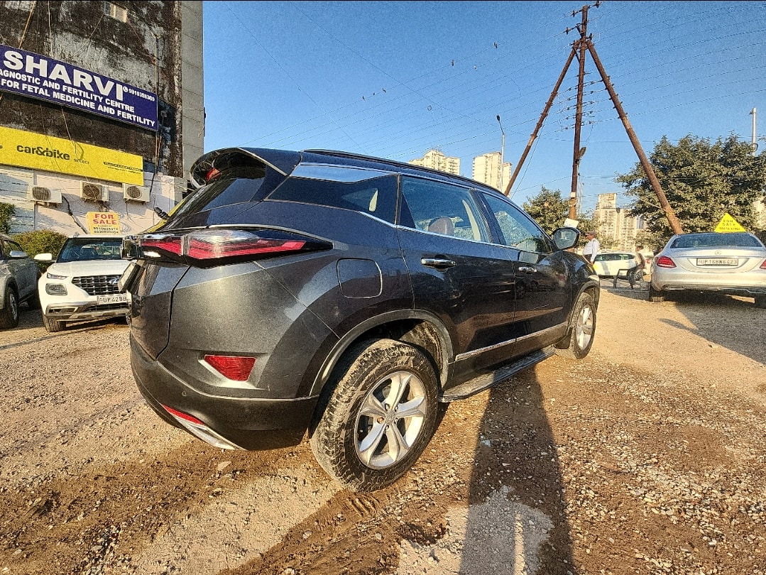 Harrier image 5 Harrier image 5